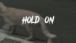 Hold On - Chord Overstreet (Lyrics)