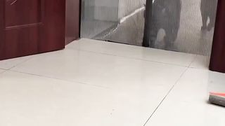 Animals 37