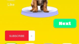 Perkawinan kucing dan anjing - Animals Mix part 1