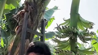 This is how prunning on bananas