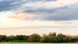 Calming and Peaceful|Natural View | Relaxation | Nature Scenery