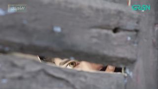 Ankhain | Full OST | Rahat Fateh Ali Khan | Kabli Pulao | Green TV