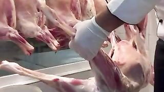 منفرد طریقہ اسٹیم روسٹ