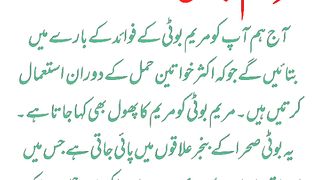 Maryam boti ke fayde