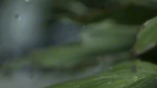 И шли дожди...Я пересорился....с дождем...????????????