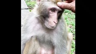 Funny ???????? video 2023 18