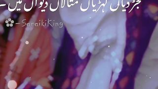 TikTok video song 4