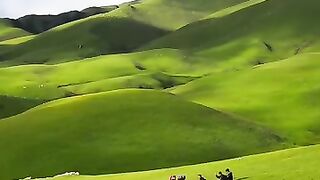 Lovely Song 5