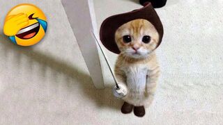 Vidéos Drôles de Chats et de Chiens ???????? Animaux Drôles #9 2