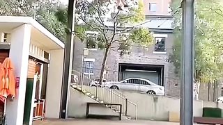 The crazy extrême