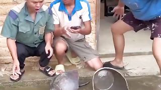 Kallu Pani aaram se dalo ????funny video #shorts