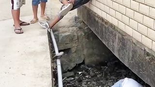 Respect 100% Funny 4