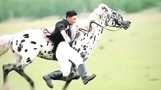 Respect 100% Funny 15