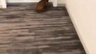 His favorite place is his bed.