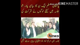 Political power show of Pakistan Muslim League-N How many people attended the meeting