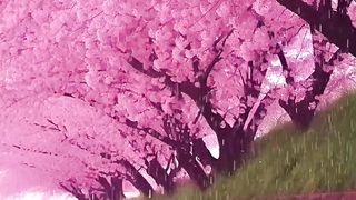 Beauty of nature 33