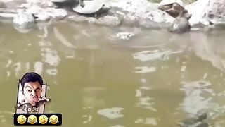 Funny Monkey Vs Tortoise Viral Video