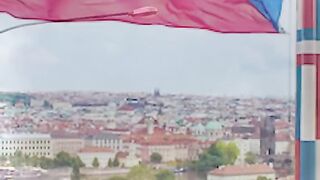 ЧЕСТНО НЮЗ 37