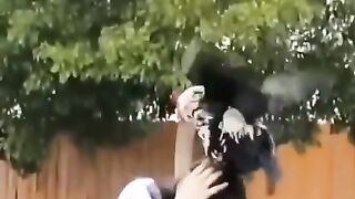 Funny | Feathered Frenzy: When a Ferocious Bird Attacks! | FunFM