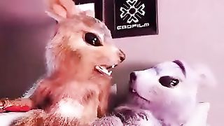 Funny | Amorous Antics: When Love Is in the Air! | FunFM