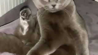 Funny | Minnie Mayhem: Sister Minnie Is a Menace! | FunFM