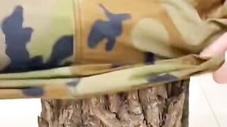 Video 279