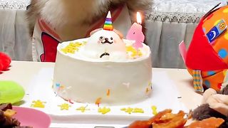 Happy 22