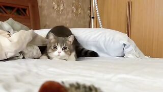 funny 188