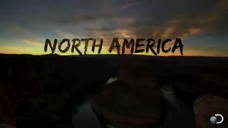 Fox Dives Headfirst Into Snow Cartoons _ North America.