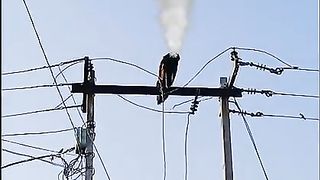 Electric  is verry danger