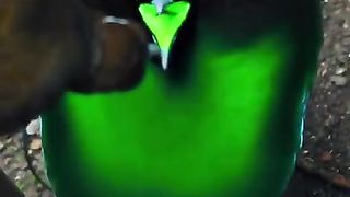 Paradise bird dancing cilp