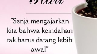senja 2