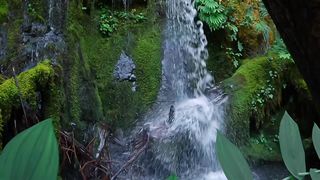 Beautiful water fall 4