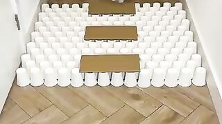 Cat smart game