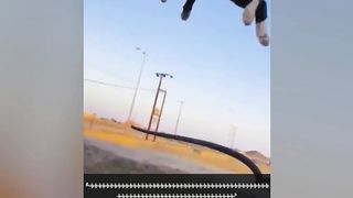 thumbnail Best Funniest Cats ???? - Don't try to hold back Laughter ???? Funny Cats 2023