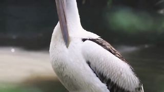 Beautiful clip 6