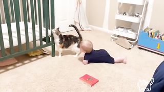Best videos of cute babies and Petes-funny baby and pet