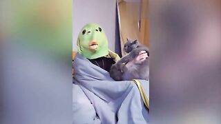New funny cats and dogs videos ????