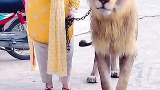 Breve lady with loin