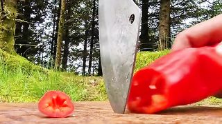 Sea Food Paella???? in the Forest????