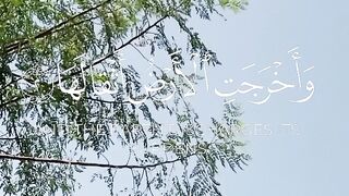 Surah tilawat | Quran majeed