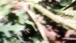 animal lovers 14