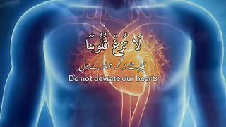 قرآن کریم کی تلاوت سنئیے اور آگے