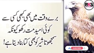 Mard sirf