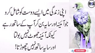 Sachi mohabbat