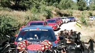 Barat pr hmla