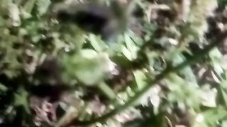 Animals lovers 76