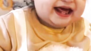 Funny videos 406