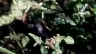Animals lovers 77