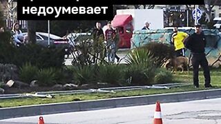 ПОЙНТ МОЛДОВА 44